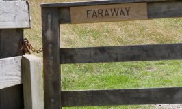 Hiking Faraway, New Zealand’s Descriptive Signage