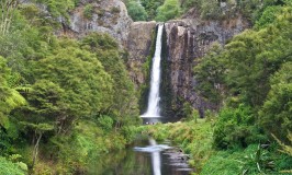 Hunua Ranges, Hunua Falls and a LARP in the Woods