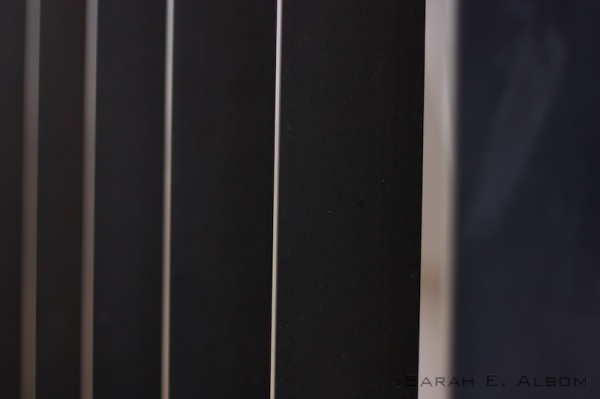 Metal bars posted along the waterfront of Wellington in New Zealand - Sarah's Sunday Snapshots #26 - Wellington textures