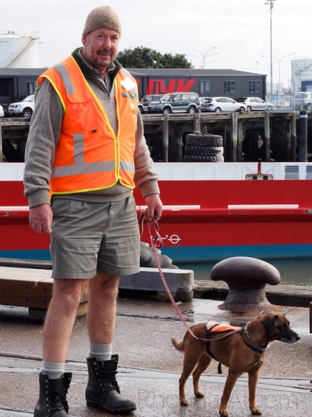 Department of Conservation worker and dog in Auckland