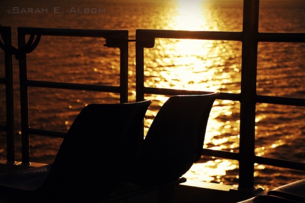 Sunrise silhouettes on the ferry, Auckland, New Zealand - Photograph copyright Sarah E. Albom 2015