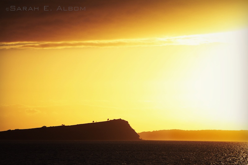 Sunrise silhouette over the cliff tops, Auckland, New Zealand - Photograph copyright Sarah E. Albom 2015