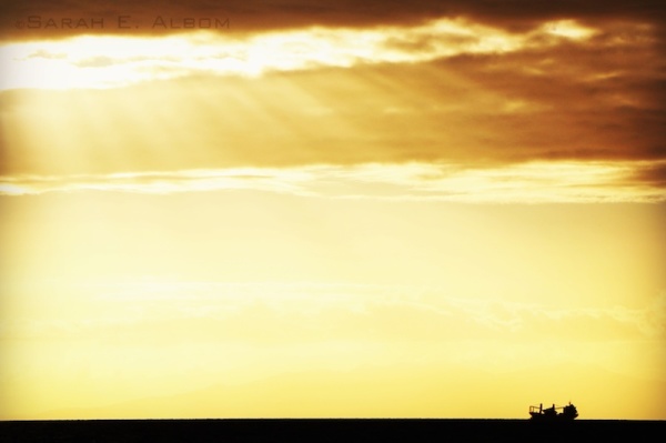 Boat sunrise silhouette, Auckland, New Zealand - Photograph copyright Sarah E. Albom 2015