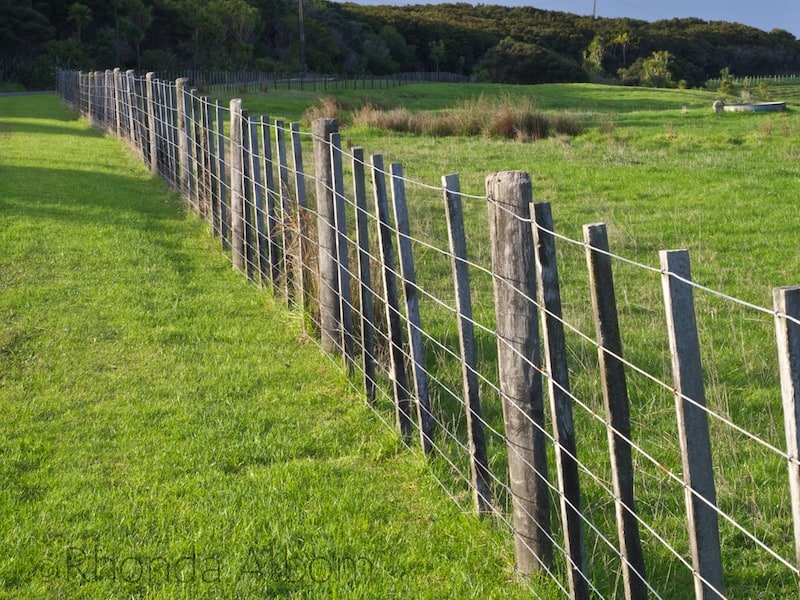 Everyday Differences Even NZ's Paddock Fence is Unique