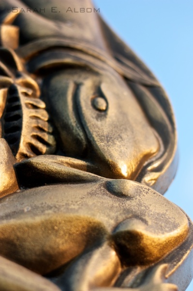 Bronze Frogs at Shakespear Park, Auckland, New Zealand - Photograph copyright Sarah E. Albom 2015