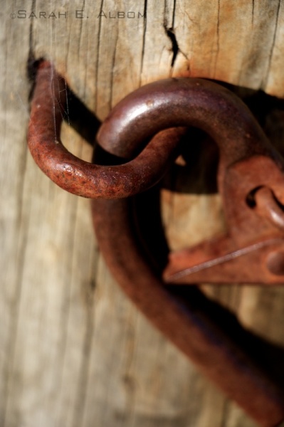 Rusty Latch at Shakespear Park, Auckland, New Zealand. Photograph copyright Sarah E. Albom 2015