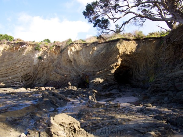 Interesting patterns on the cliffs of Pink Beach seen while coastal hiking in Shakespear Park Auckland New Zealand