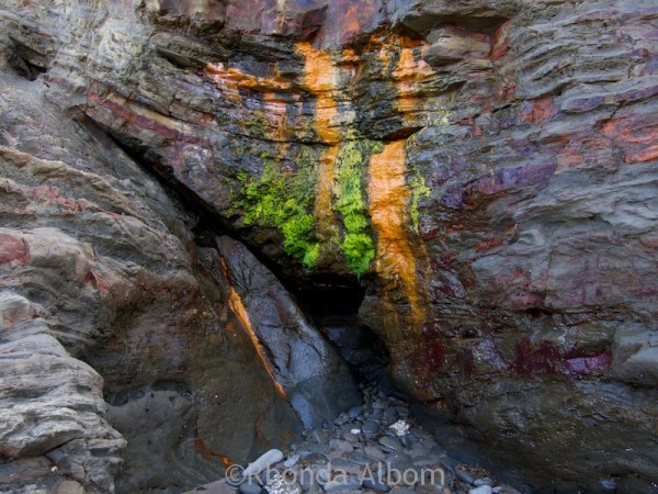 Natural colors dripping on the cliffs of Shakespear Park Auckland New Zealand