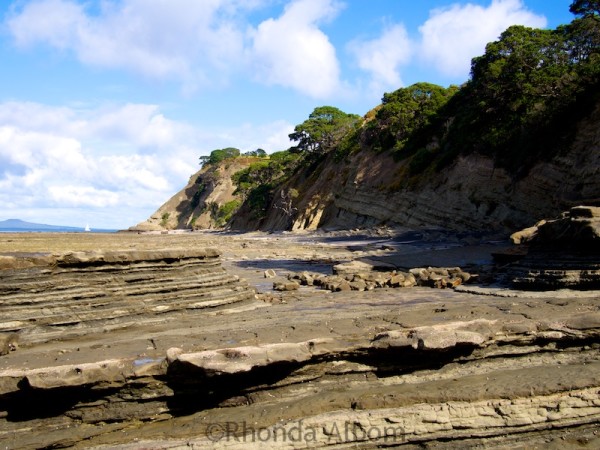 East coast of Shakespear Park Auckland New Zealand
