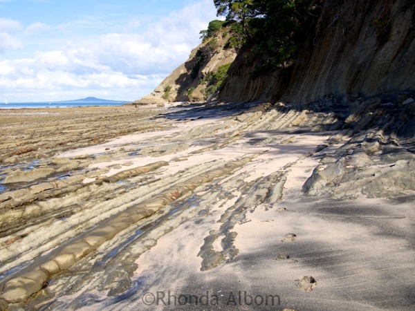 North coast of Shakespear Park Auckland New Zealand