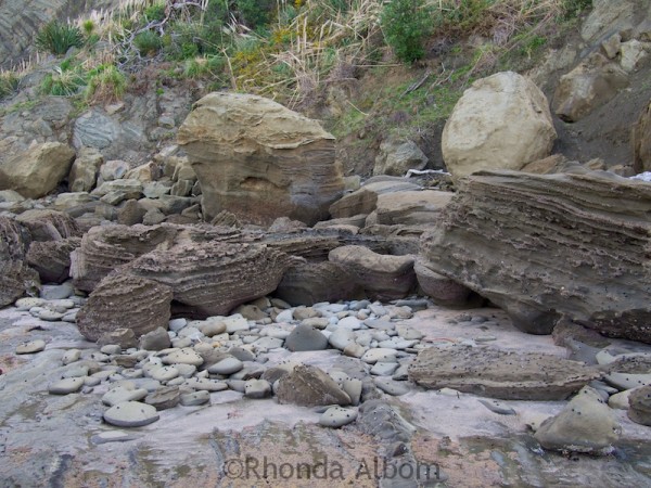 Interesting Rock Formations on the coast at Shakespear Park Auckland New Zealand