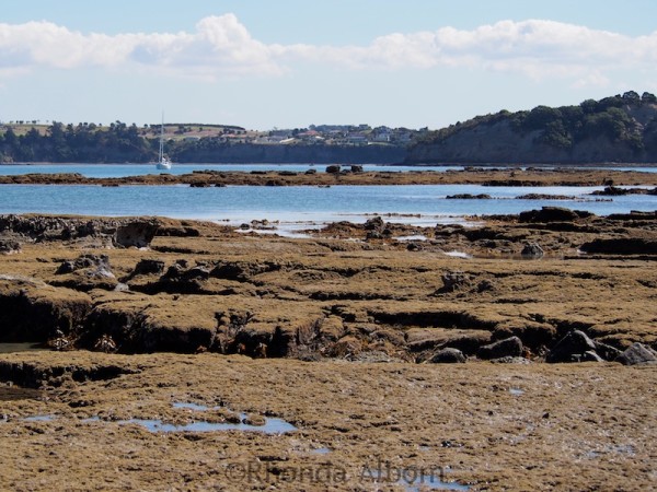 Hiking from Pink Beach to Te Haruhi Bay in New Zealand