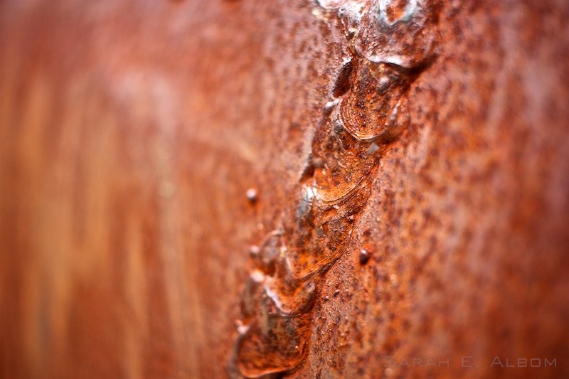 An extreme close-up of one of the artworks in Hyde Park, Sydney, Australia. Copyright Sarah E. Albom 2015; for more photos of Sydney, visit the blog