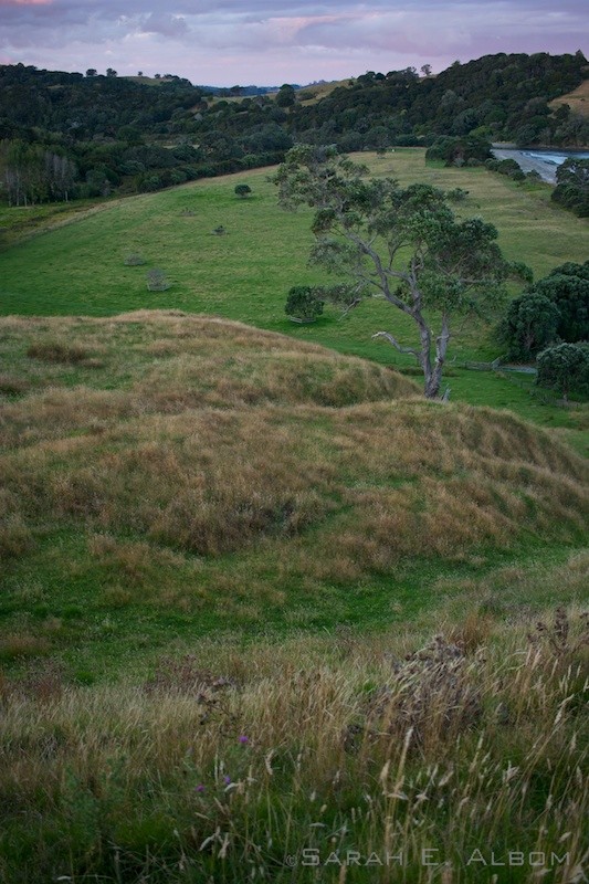 Nighttime on the hills surrounding the campsite at Te Muri in Mahurangi West, Auckland, New Zealand. Copyright Sarah E. Albom 2016; for more photos of Mahurangi West, visit the blog