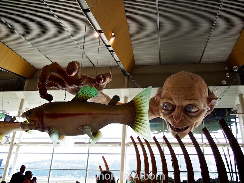 Gollum from Lord of the Rings is larger than life and on display at the Wellington Airport in New Zealand