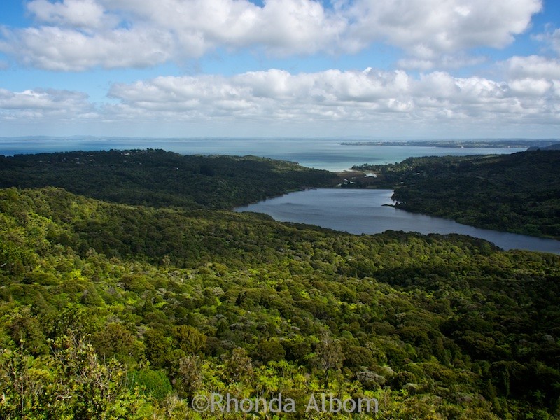 Views from the Arataki Visitor Centre in the Waitakere Ranges, Auckland, New Zealand