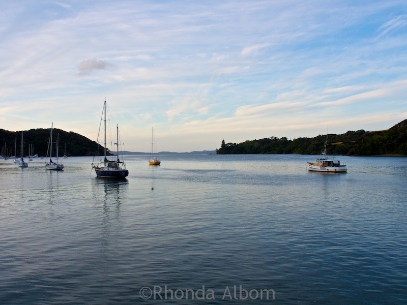 An inlet along the northern coast of New Zealand