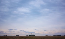 Sarah’s Snapshots – Soy Bean Farm in Rosario Argentina