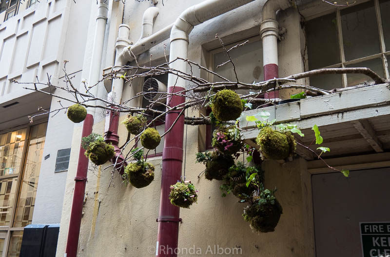 Landscape of Memory by Lara Cheadle is one of the temporary exhibits in Auckland Artweek, New Zealand