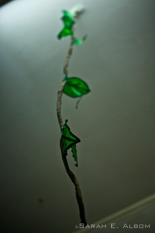 Paper hanging vine decortation in Santa Fe, Argentina. Photo copyright ©Sarah Albom 2016