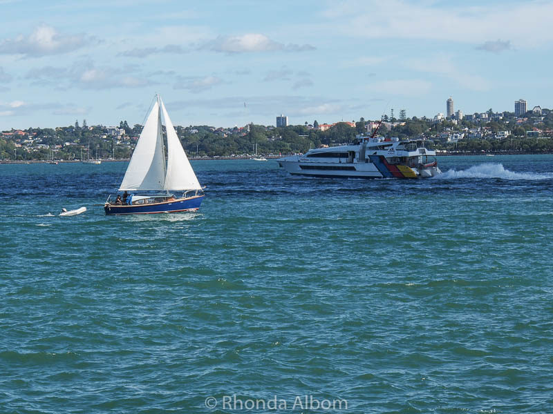Boats seen from Devonport Wharf in Auckland New Zealand
