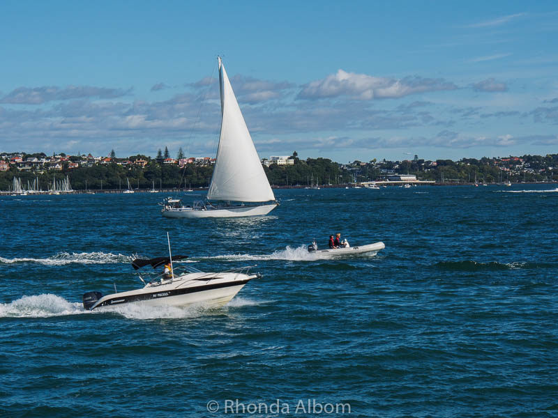 Boats seen from Devonport Wharf in Auckland New Zealand