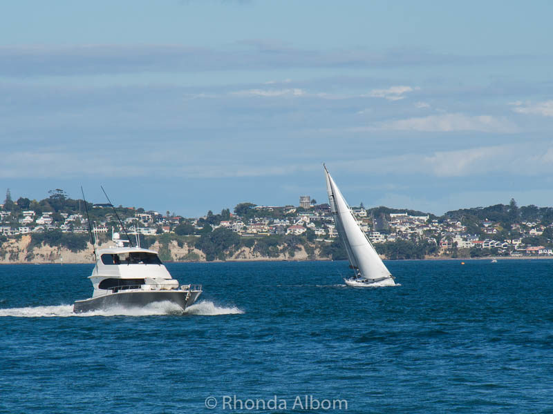 Sailing close to the wind in New Zealand