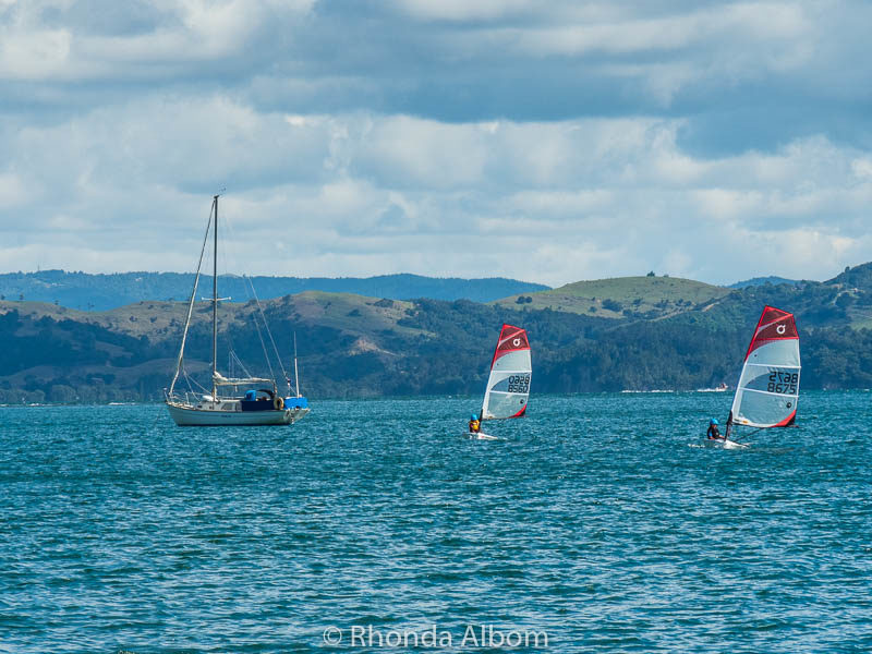 The Open Bic class sailing at Manly, New Zealand