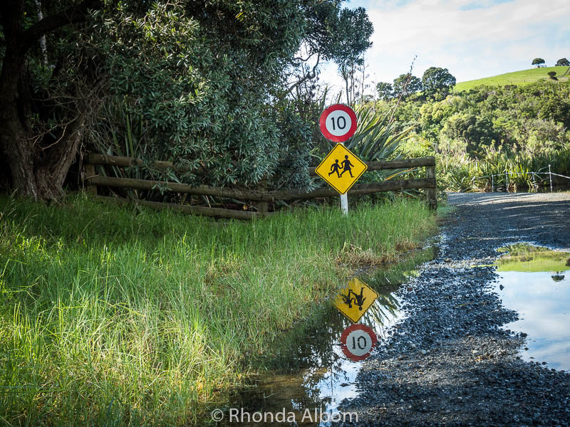 Flooded campground entrance creates interesting reflections at Shakespear Park in New Zealand