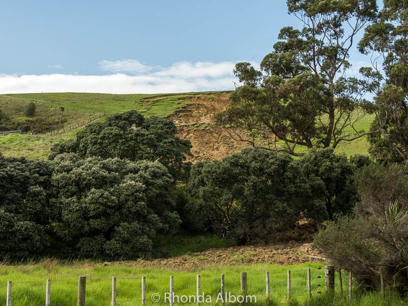 Land slip in Shakespear Park, Auckland New Zealand
