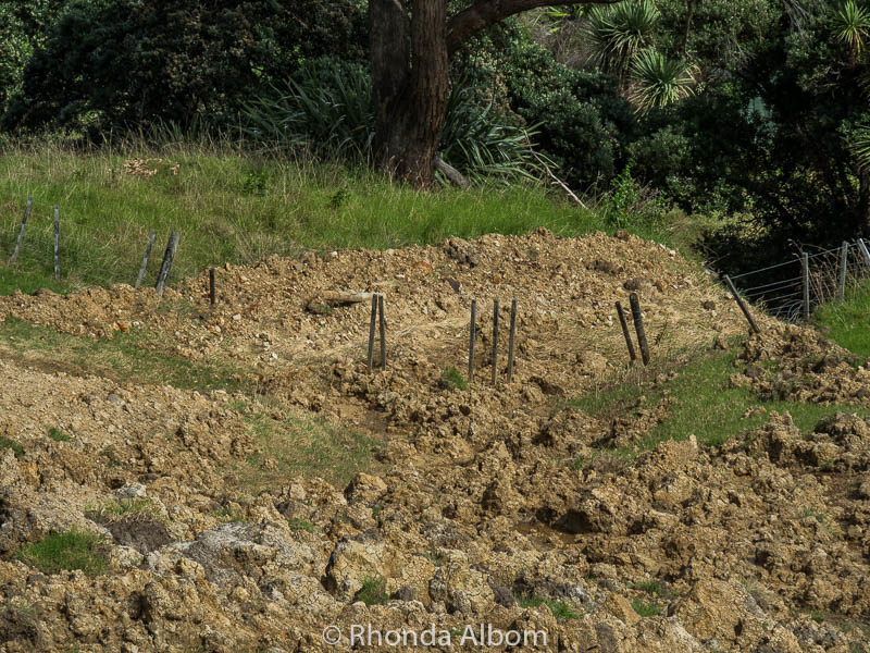 Land slip covering a fence in Shakespear Park, Auckland New Zealand