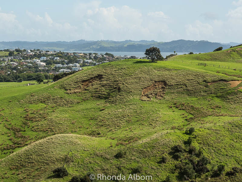 Small land slips in Shakespear Park, Auckland New Zealand