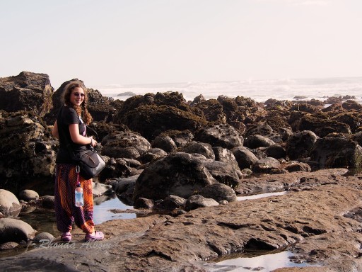 Enjoying Muriwai Beach at King Low Tide, New Zealand Muriwai Beach at King Low Tide