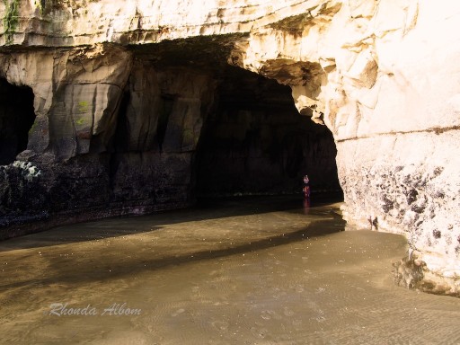 Cave at Muriwai Beach accessible at low tide Muriwai Beach at King Low Tide