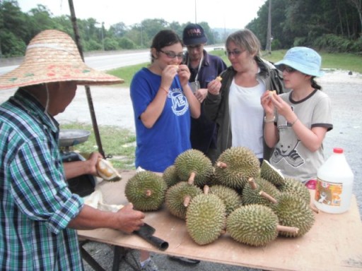 Eating durian fruit Participate In Local Life