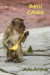 Long-tailed macaques (wild monkeys) at Batu Caves outside Kuala Lumpur in Malaysia.
