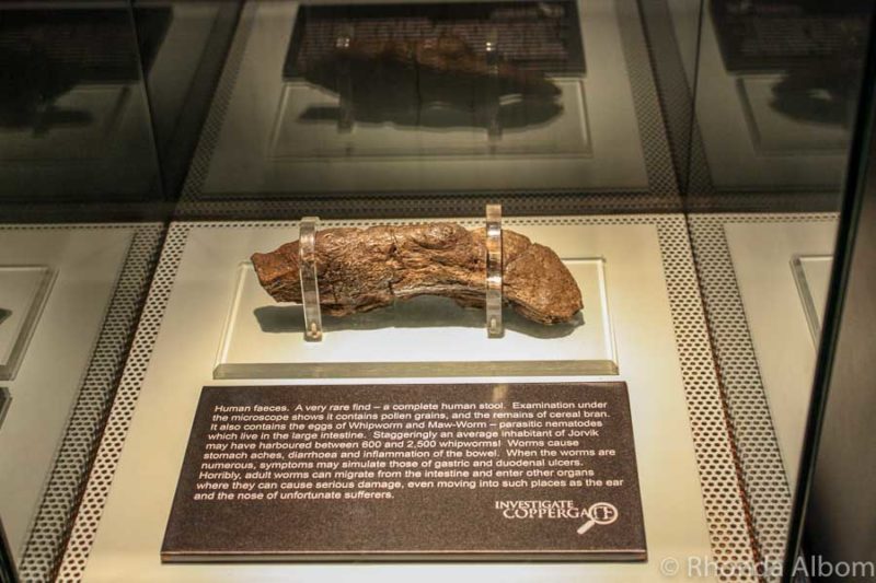 One of the oldest and best preserved human faeces is found in the Jorvik, a Viking Museum in York