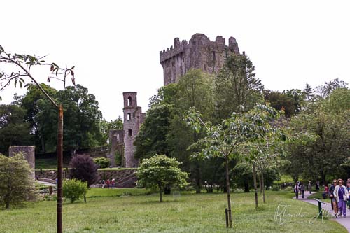 Blarney Castle and grounds