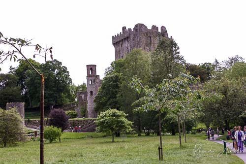 Driving Around Ireland - Our Irish Road Trip Loop from Dublin 25 Blarney Castle and grounds