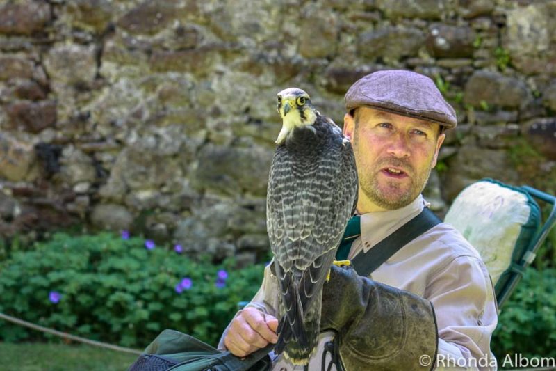 Scotland Road Trip: Edinburgh to Scottish Highlands 11 Man with a falcon