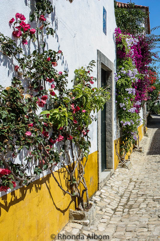 14 Things to Do in Obidos Portugal - a Medieval Delight 4 Fragrant and colourful flowers climb the walls of the whitewashed houses