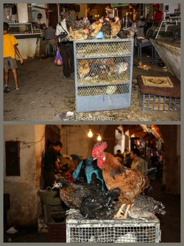 Chickens for sale in the Fes Medina, Morocco