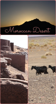 The Moroccan Desert is vast and full of different beautiful landscapes. For more photos visit the blog