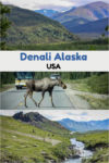 Hiking, rafting, or nature, there are many things to do in Denali National Park in Alaska, home to wildlife and Mt. Kinley, North America's highest peak.