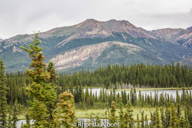Alaska Train from Denali to Anchorage Is Goldstar Worth the Extra Cost?
