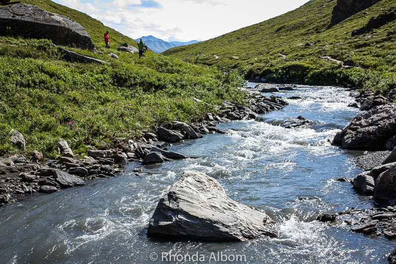 11 Things Alaska is Famous for (and Known for too!) 7 Savage River at mile 15 Denali National Park, one of the destinations Alasksa is known for