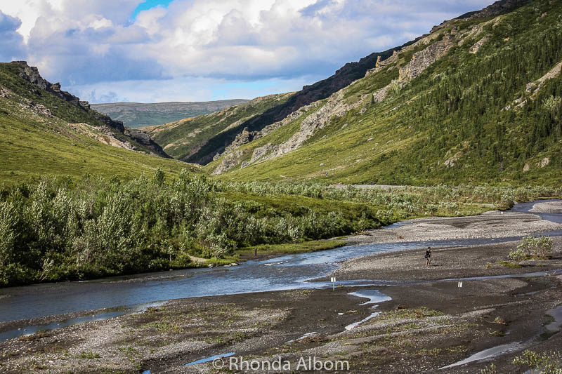 Savage River Trail Denali Alaska