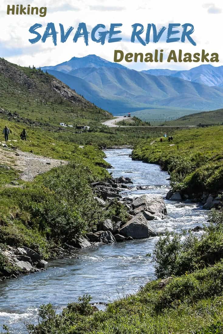 This is one of several photos as we hiked the 3.5 km Savage River Trail in Denali National Park, Alaska