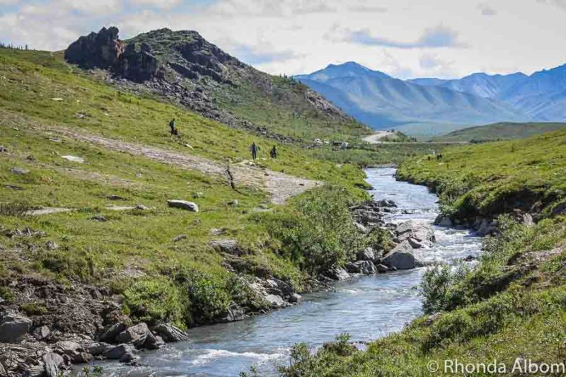 Things to do in Denali Alaska: Getting to and Enjoying the National Park 13 Hiking along Savage River is one of the free things to do in Denali National Park.