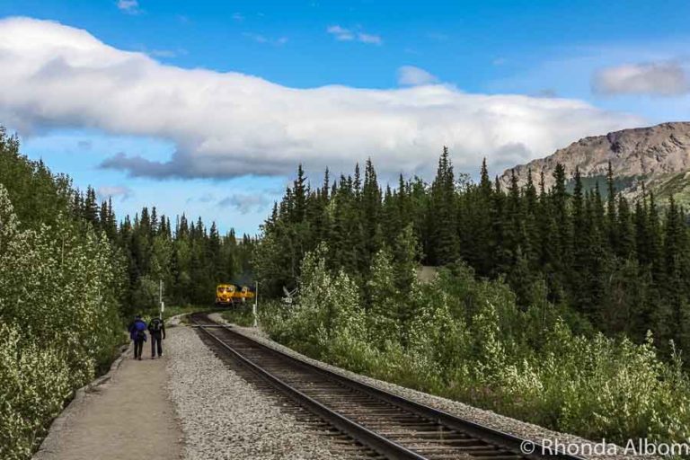 Things to do in Denali Alaska Getting to and Enjoying the National Park